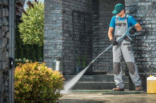 Animal Enclosure Cleaning in Ten Mile Creek, MD