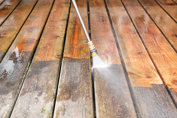 Best Driveway Pressure Washing  in Ten Mile Creek, MD